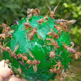 Hanging Fly Trap Ball Fruit Fly Catcher Sticky Trap Fly Outdoor Disposable Wasp Bee