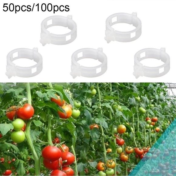 50/100Pcs Clear Hanging Plastic Vegetables Plant Vine Gardening Tool Clips Clamp